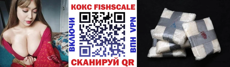 COCAIN Fish Scale магазин продажи Сурск