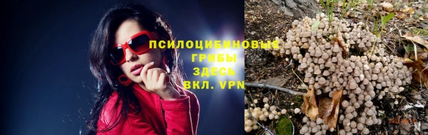 хмурый Абинск