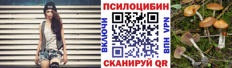 Галлюциногенные грибы Psilocybe Сурск
