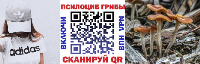 Галлюциногенные грибы ЛСД  Сурск 